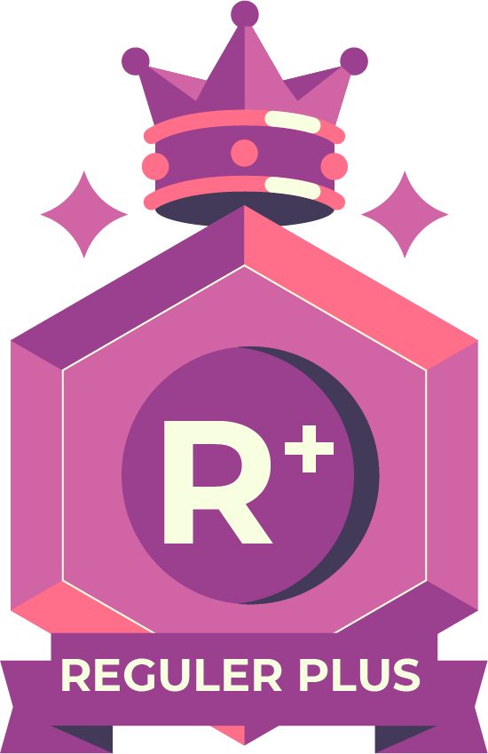 Reguler Plus Icon